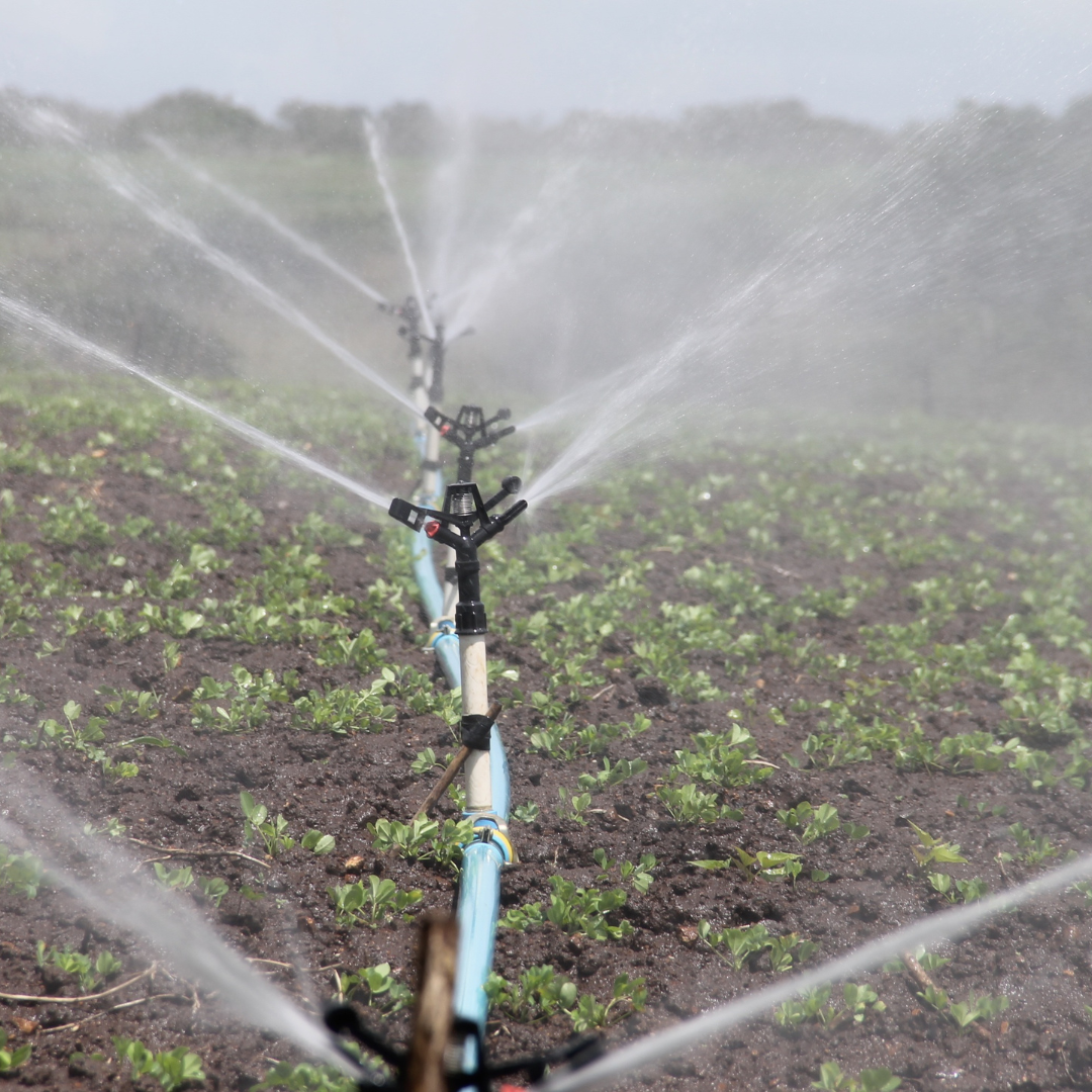 Comment bien arroser son jardin avec un système d'irrigation - Univers Du Pro
